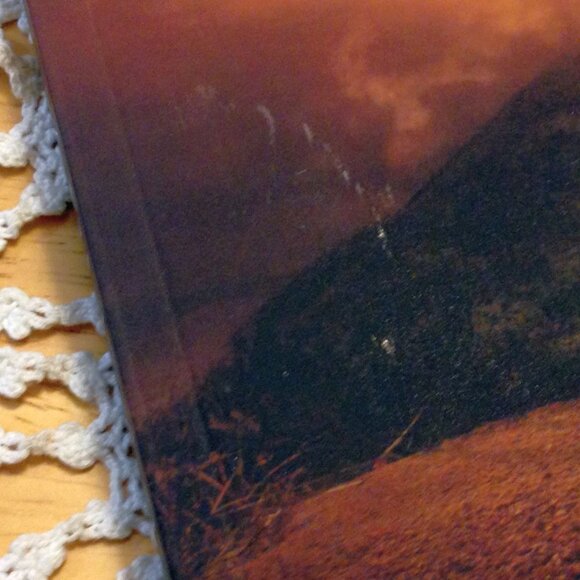 3 for $10 book sale! Apocalyptic Fiction Chaos Gains, After the EMP - Picture 4 of 6